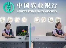 高股息策略（电力/煤炭的防御性价值）